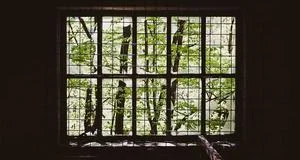 QQ相册取消点赞操作指南